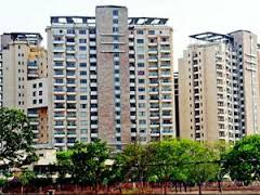 With affordable solar panels, Delhiites can cut electricity bills